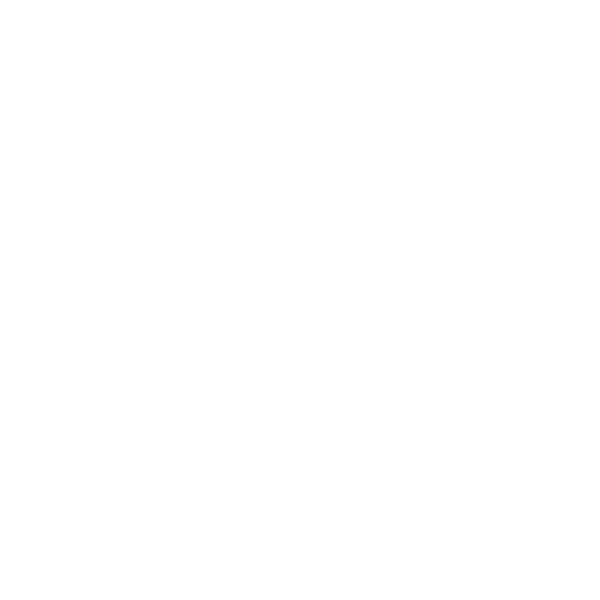 bridgestone-logo-w