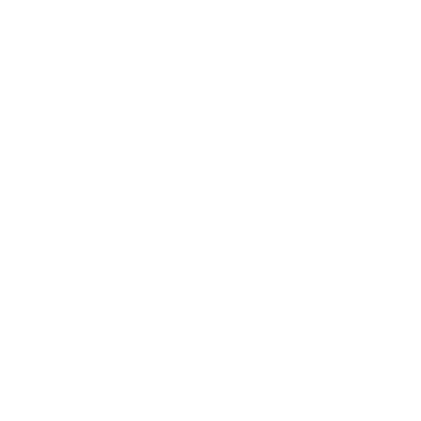 carmenvivar-logo-w